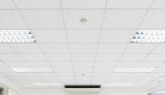 Image Service Ceilings
